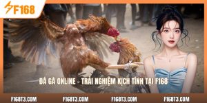 Đá Gà Online - Trải Nghiệm Kịch Tính Tại F168
